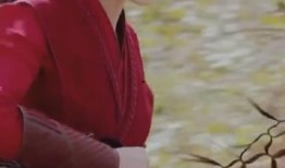 青枫最新爆料视频